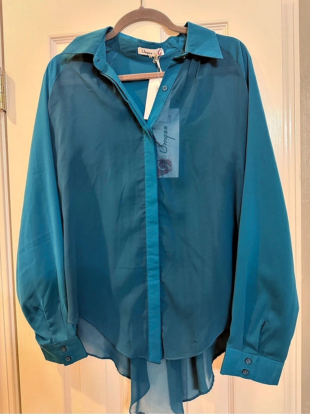 Umgee Sheer Long Sleeve Blouse in Blue Size Large NWT